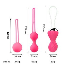 Набор вагинальные шариков 2+1 с вибрацией Remote Vibrating Egg с ду