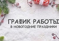 Проводим новогодние каникулы с удовольствием