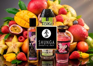 Shunga: прикоснись к японскому искусству любви