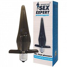 Анальная втулка The Final Pleasure SexExpert из TPE черная с вибрацией 7.5 см