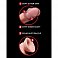 Фото-3 Фаллоимитатор King Cock Plus Fanta Flesh 3D реалистичный на присоске телесный 12,7 см
