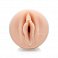 Фото-1 Мастурбатор Fleshlight Girls Abella Danger из киберкожи в колбе-корпусе