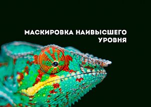 Маскировка наивысшего уровня