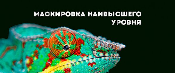 Маскировка наивысшего уровня