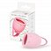 Фото-3 Менструальная чаша NATURAL WELLNESS Magnolia Big 20ML