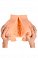 Фото-4 Мастурбатор вагина и анус XISE Mad Buttock из TPR телесный