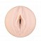 Мастурбатор Fleshlight Girls Lisa Ann из киберкожи в колбе-корпусе